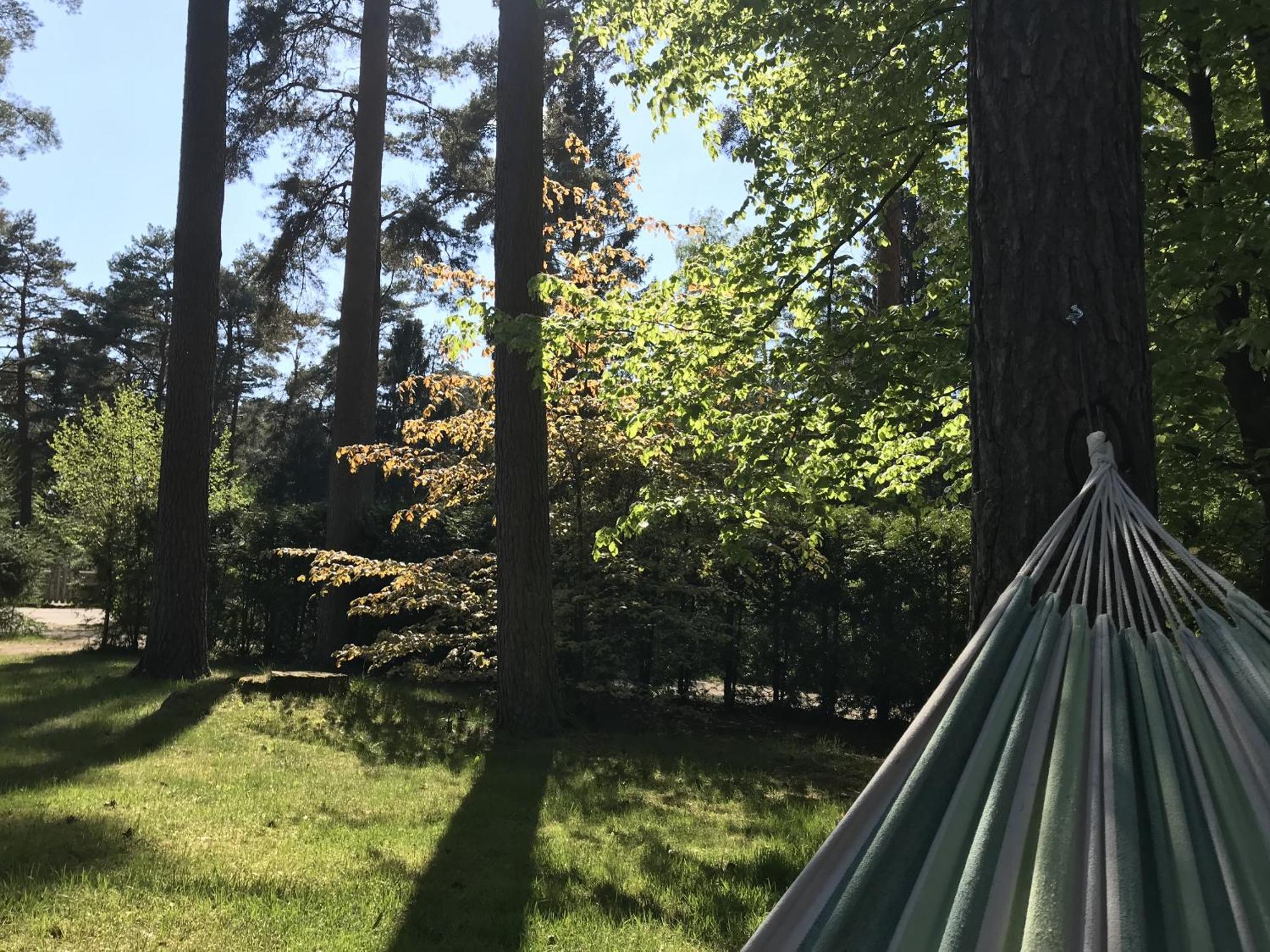 Nordic Relax House - Woodhouse Villa Sjöbo Kültér fotó
