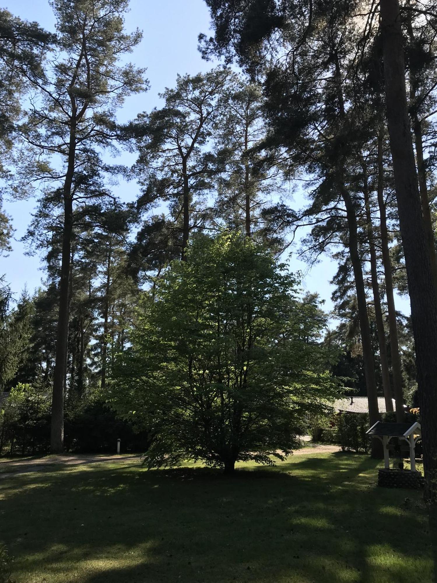Nordic Relax House - Woodhouse Villa Sjöbo Kültér fotó